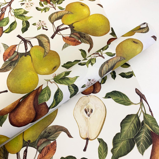 Large Pears Fruit Print Paper ~ Tassotti Italy
